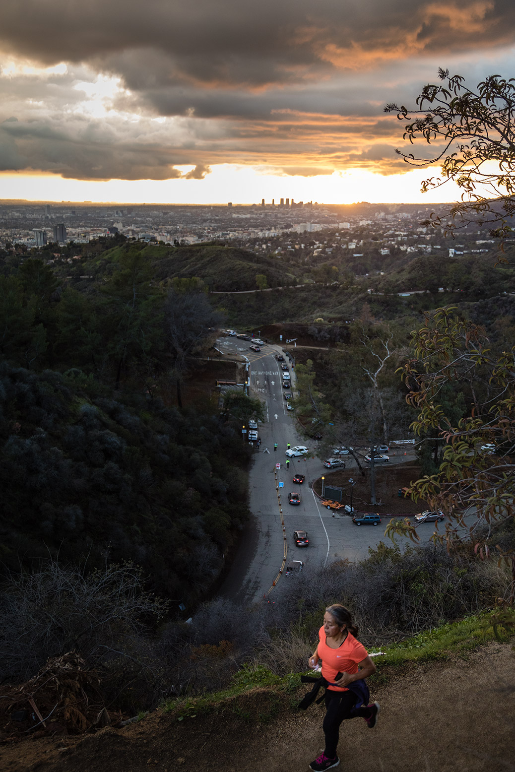 Griffith Park Runner at Sunset