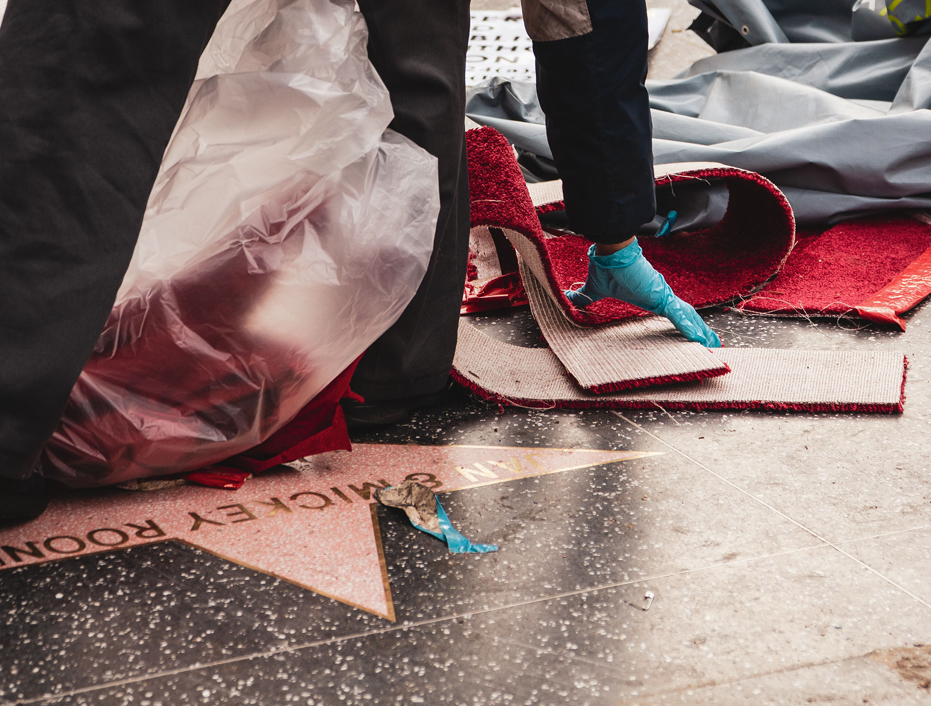Red Carpet Hollywood